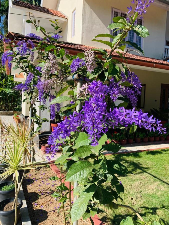 Green Castle Apartment Gonikoppal Exterior photo