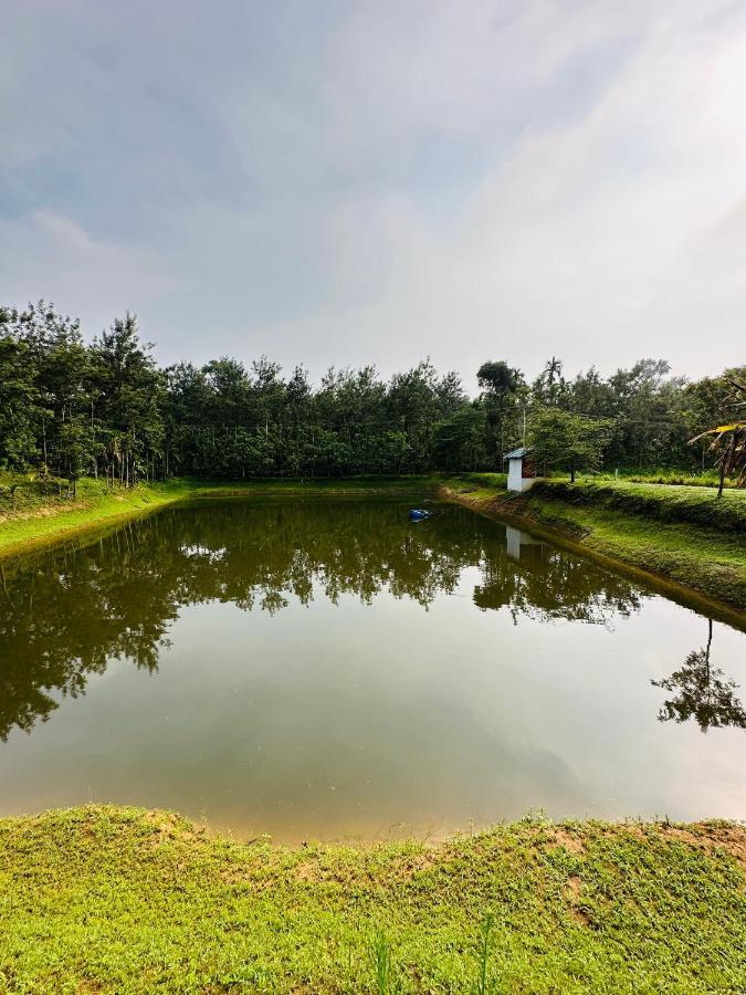 Green Castle Apartment Gonikoppal Exterior photo